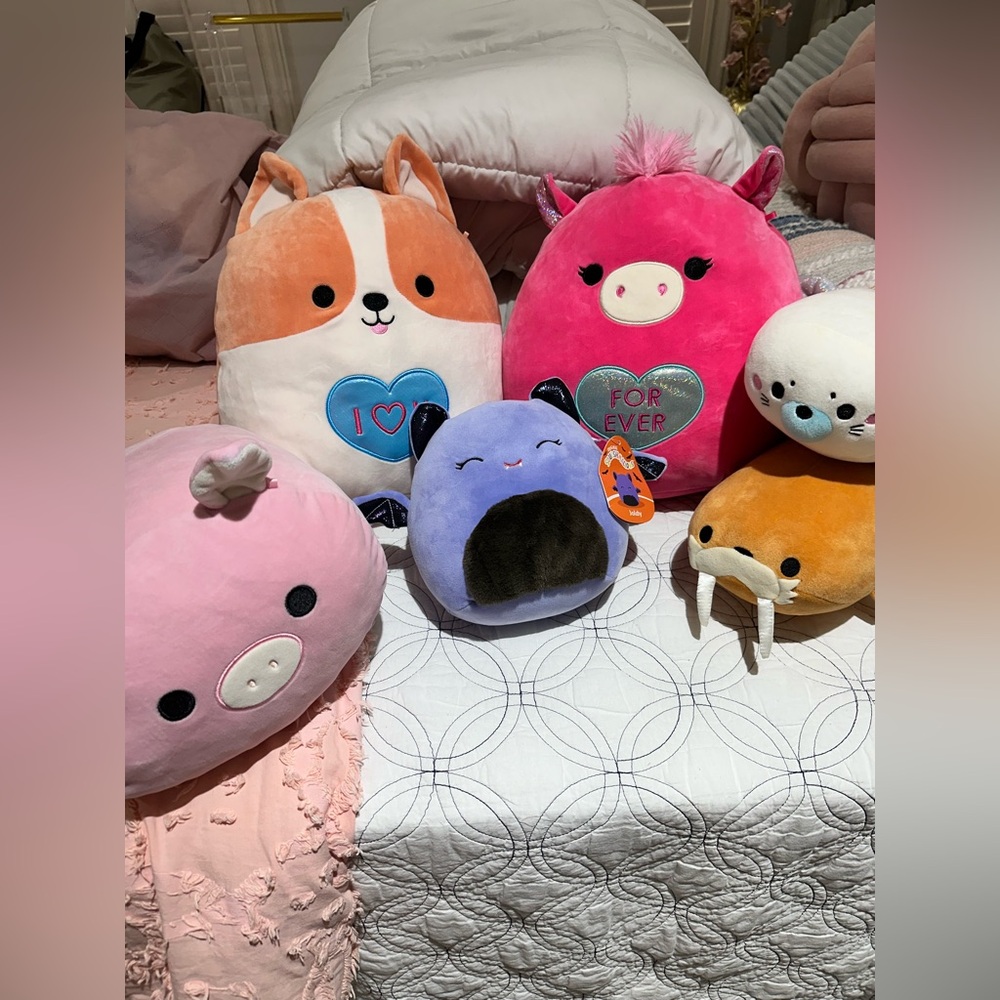Squishmallow bundle
